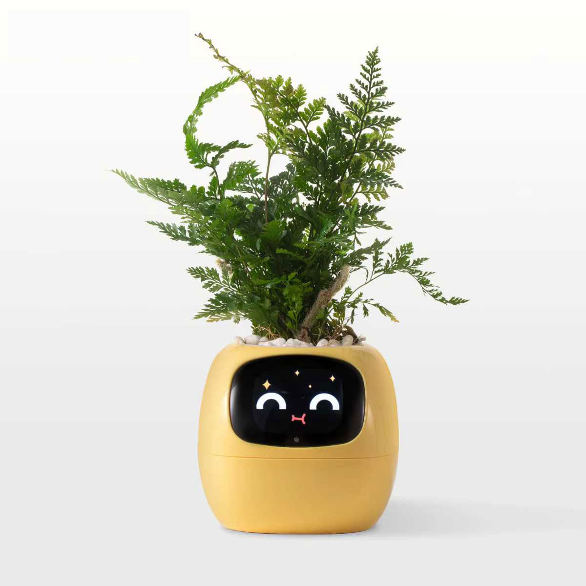 Ivy Smart Planter – AI-Powered Pot with 7 Sensors & 49+ Expressions - Zeal Cart