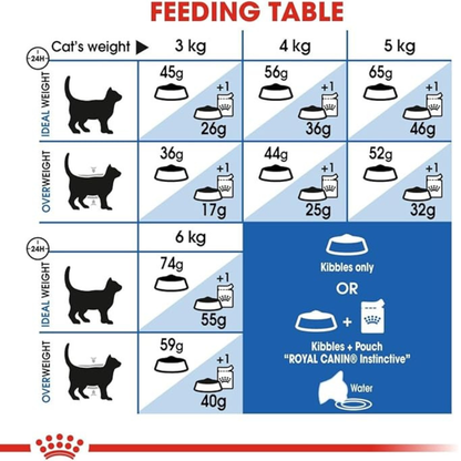 Royal Canin FHN Feline Health Nutrition Indoor Dry Cat Food – 4kg