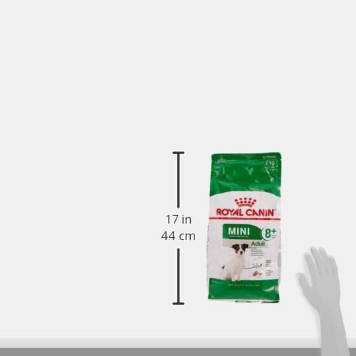 Royal Canin Size Health Nutrition Mini Adult Dry Dog Food – 8kg
