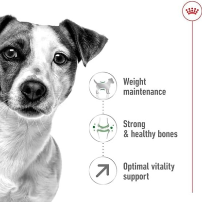 Royal Canin Size Health Nutrition Mini Adult Dry Dog Food – 8kg
