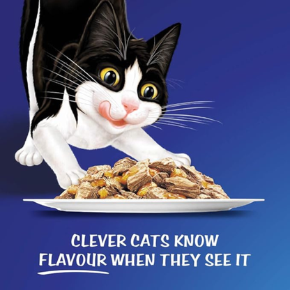 Felix As Good As It Looks Doubly Delicious Fish Selection Cat Food – 85g Pouches