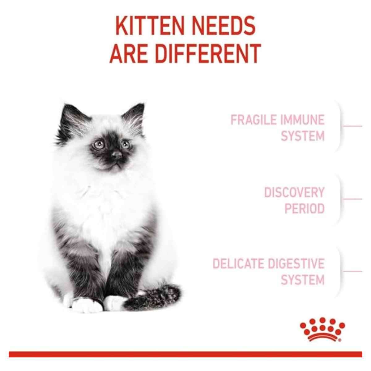 Royal Canin FHN Feline Health Nutrition Kitten Dry Cat Food – 4kg