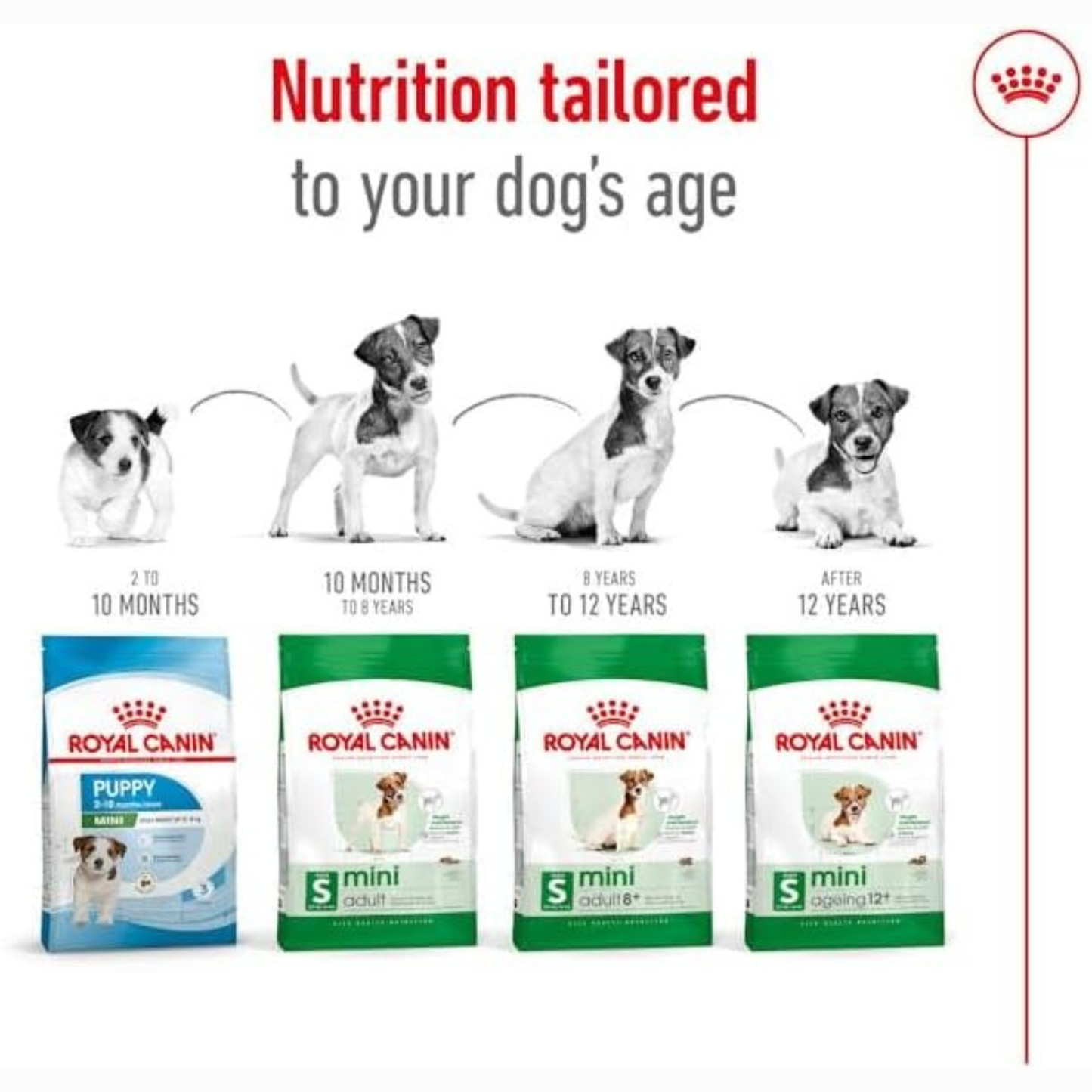 Royal Canin Size Health Nutrition Mini Adult Dry Dog Food – 8kg