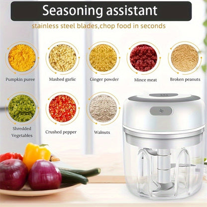 USB Rechargeable Mini Garlic Mixer – 250ml Electric Food Chopper for Kitchen – Portable & Multi-Use