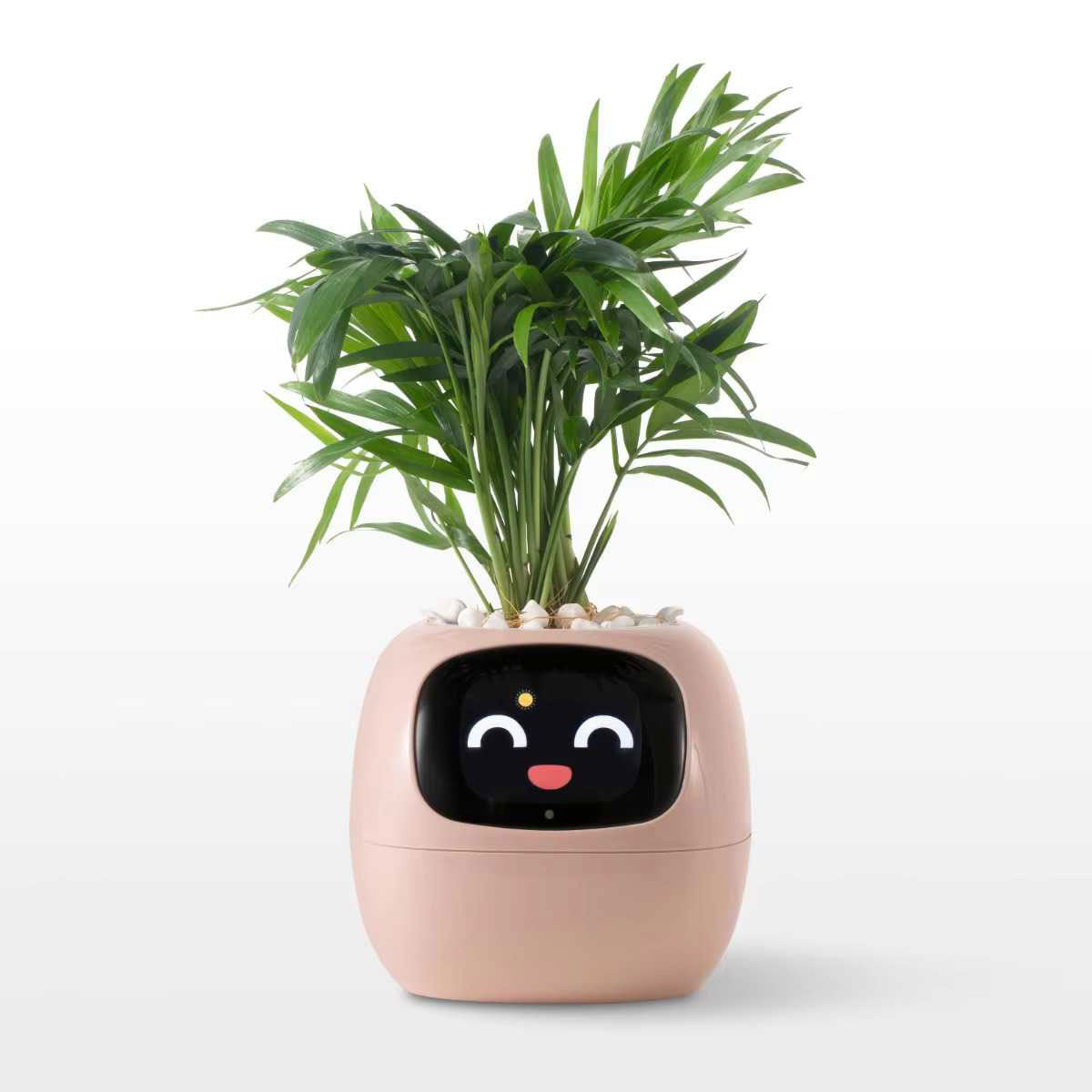 Ivy Smart Planter – AI-Powered Pot with 7 Sensors & 49+ Expressions - Zeal Cart