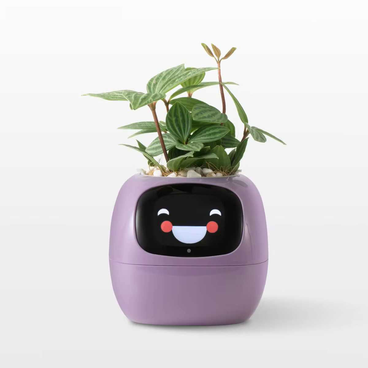 Ivy Smart Planter – AI-Powered Pot with 7 Sensors & 49+ Expressions - Zeal Cart