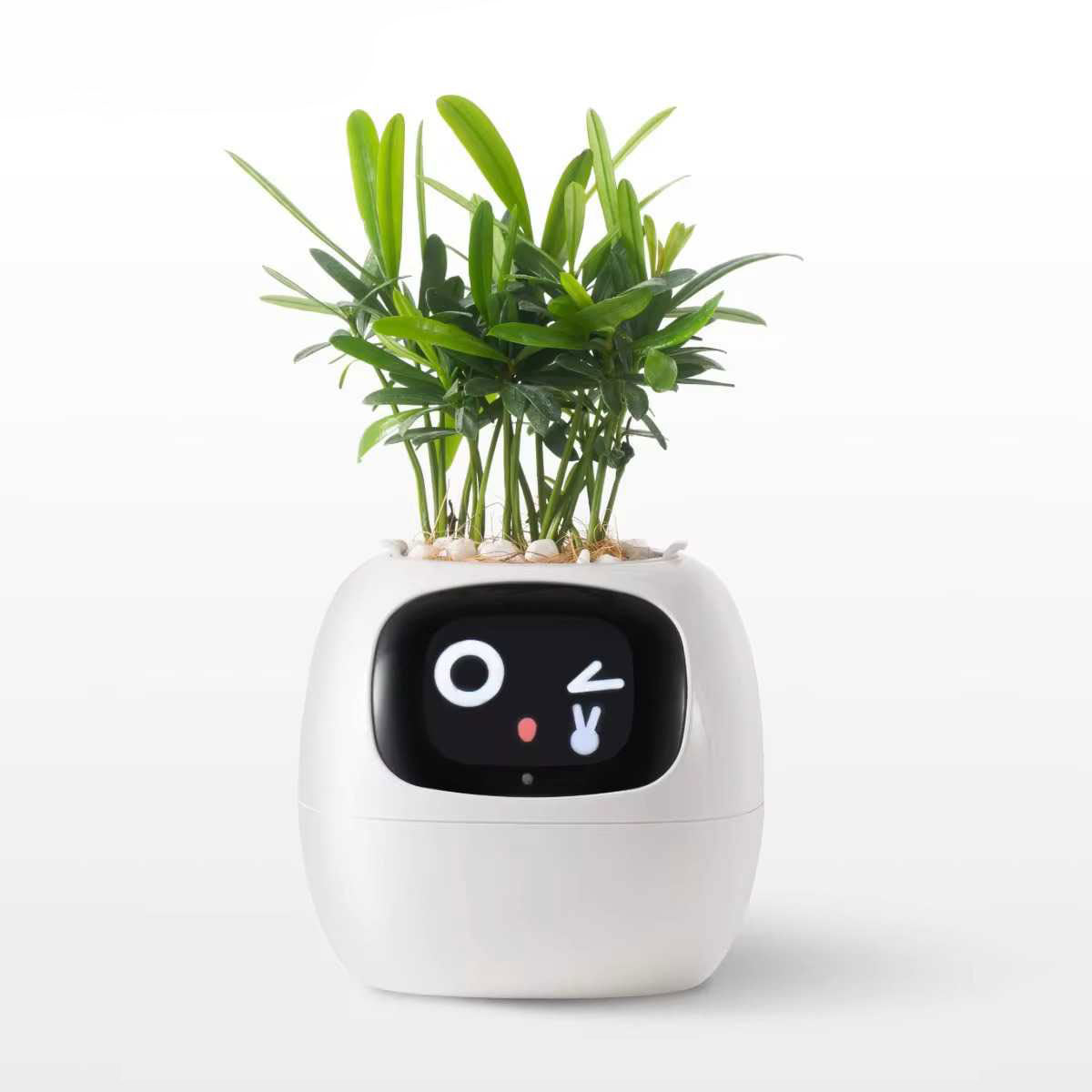 Ivy Smart Planter – AI-Powered Pot with 7 Sensors & 49+ Expressions - Zeal Cart